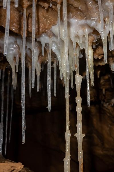 Thumbnail of photo from this article